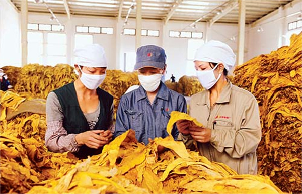 烟叶分级灯箱的色温和显色指数是多少？